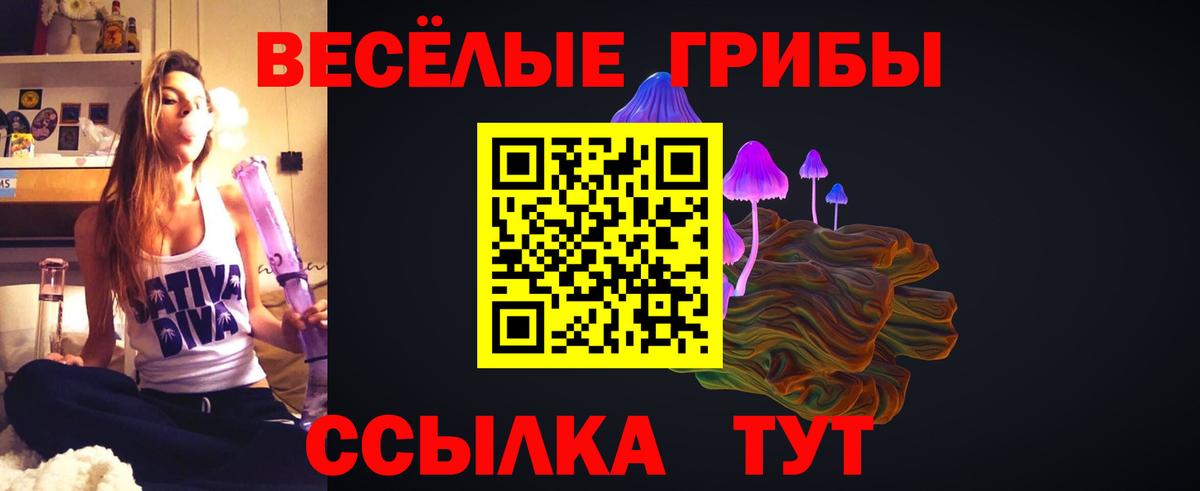 купить наркоту  Псилоцибиновые грибы ЛСД  Галлюциногенные грибы Cubensis  Вход с VPN  Кувандык 